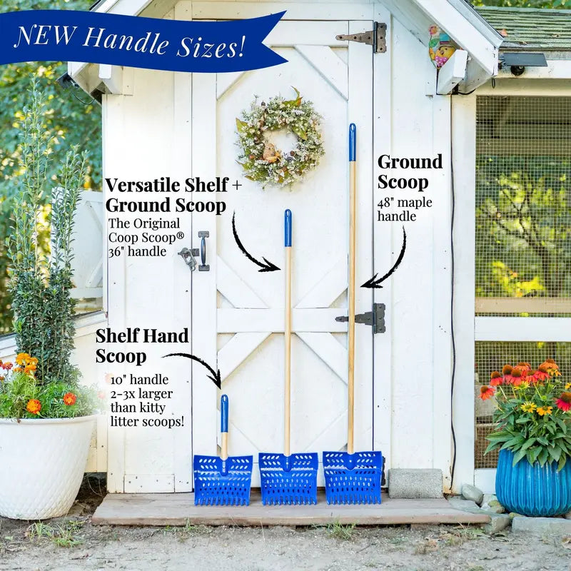 2-in-1 Chicken Poop Scoop & Rake